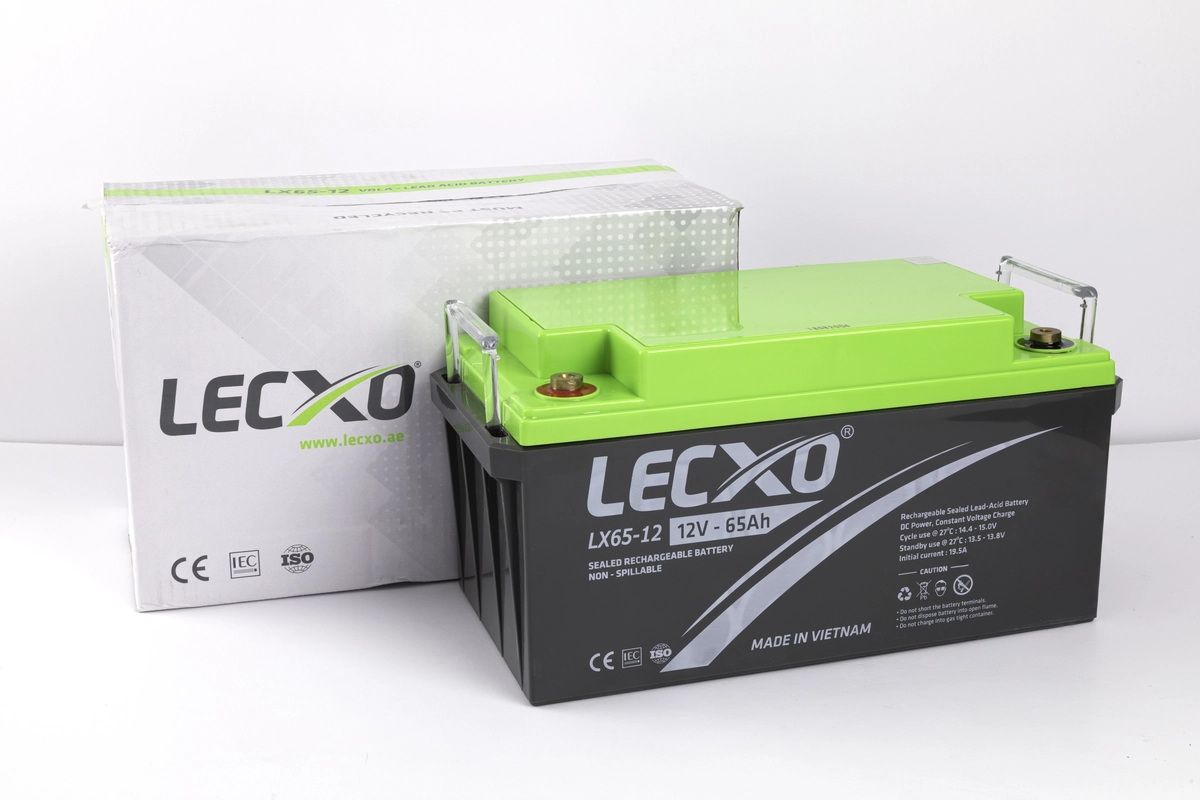 Lecxo Lead Acid Battery (VRLA)