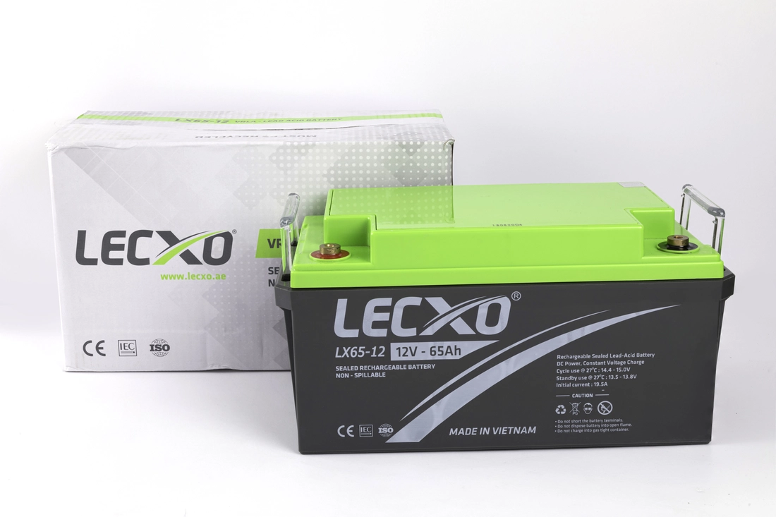 Lecxo Lead Acid Battery (VRLA)